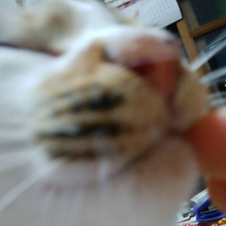 9105af12 b89e 4c8a bd66 a003eeaed177