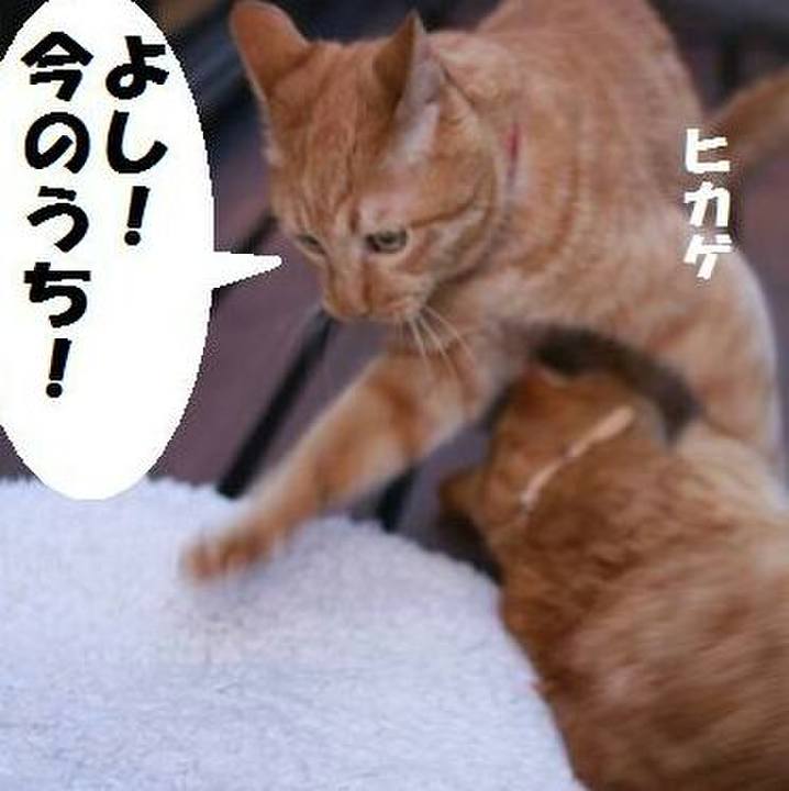 91070ccc 9fa0 4d78 b7cc ccdcb6d88d19