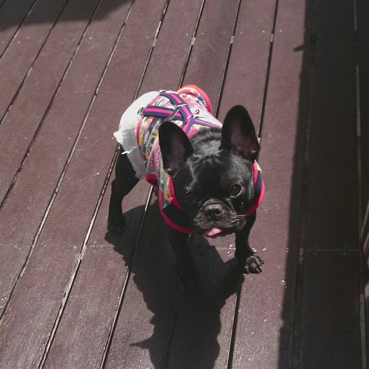 91072182 2658 4b32 b252 d90a2f9469ea