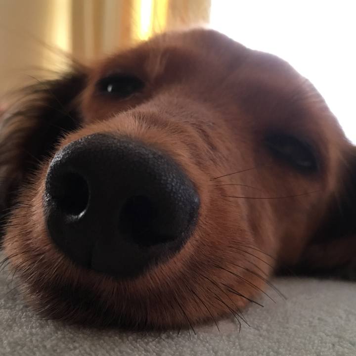 91076afa 3f22 4f19 b02b 24862e4b397a