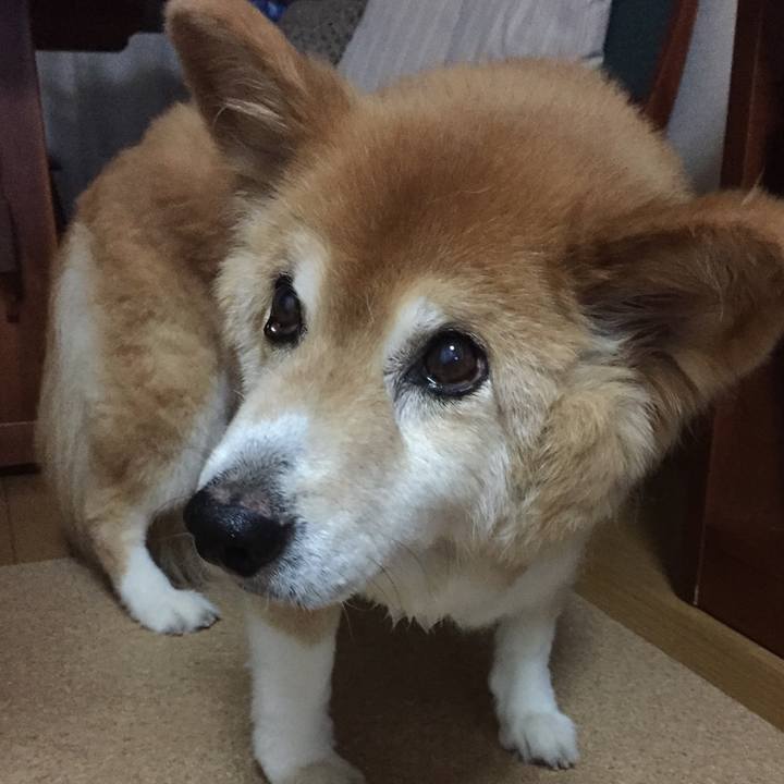 9107b8d9 15e3 4364 9b64 d23aa217afa7