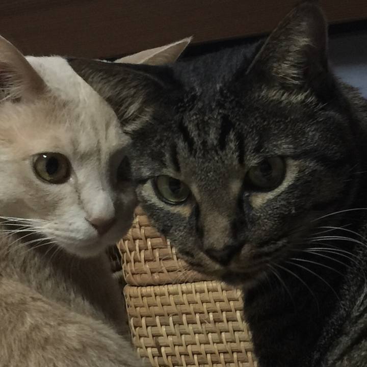 9107f632 f693 4623 94e8 a9b6ea314c8a