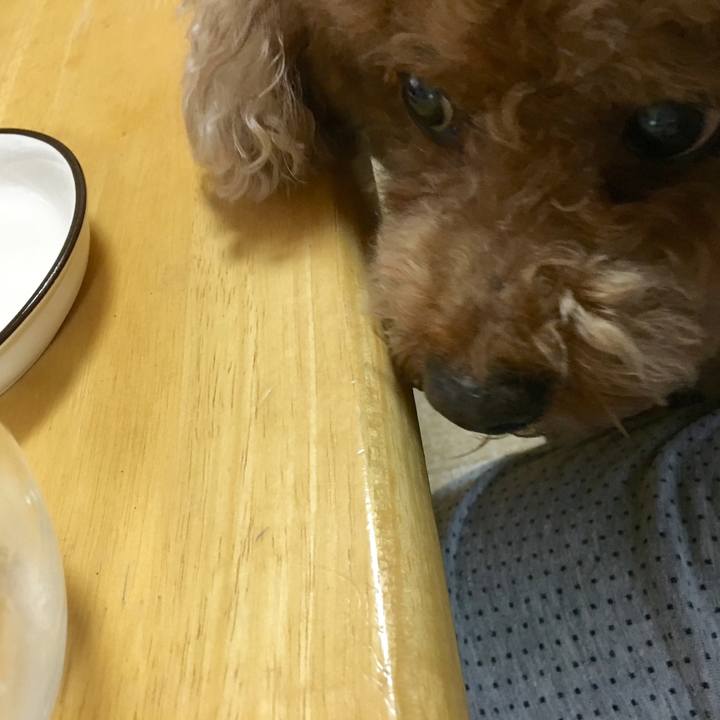 91082fc5 2101 4274 aa05 c39eee8e204f