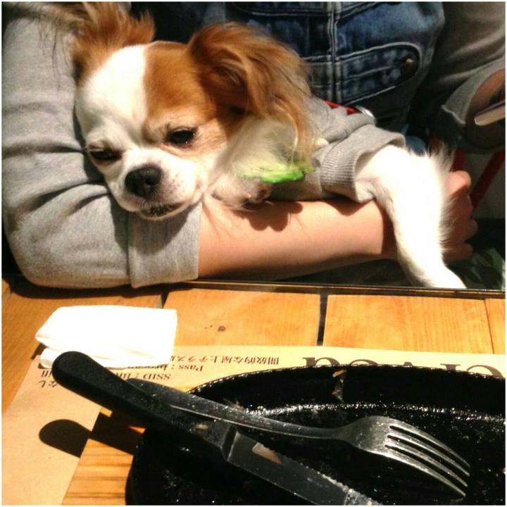 9109a942 e6bb 4593 aa54 0c1e18360863