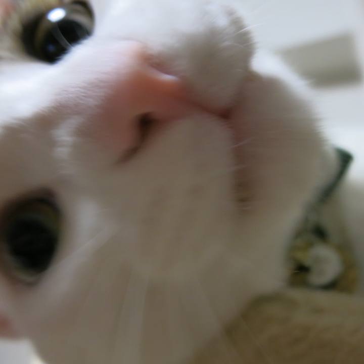 9109cf9d 3456 46f6 94b4 f2d626c9f1b5