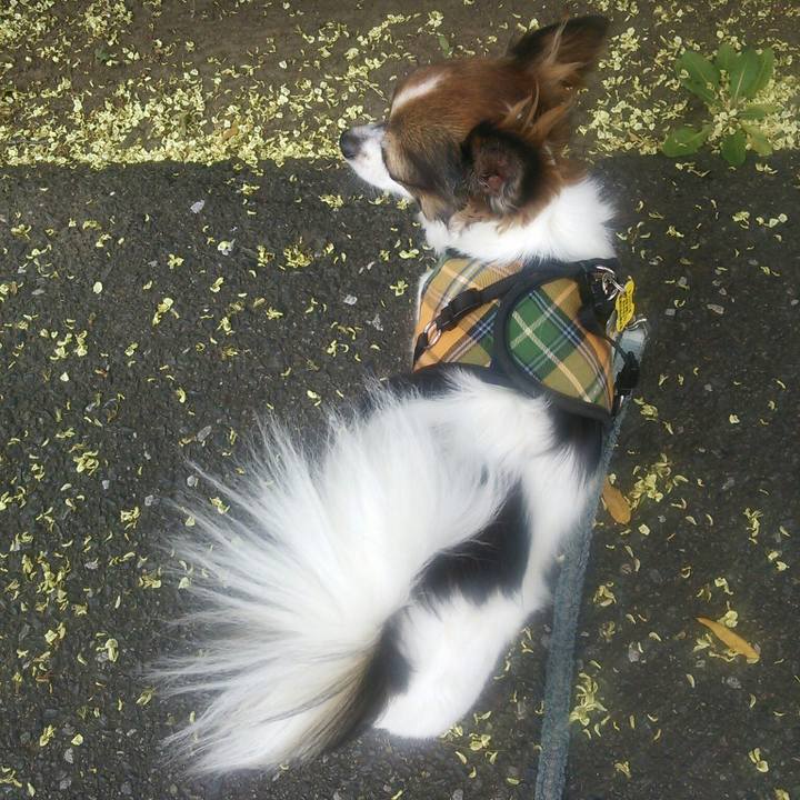 910a2667 2de0 46db 920a e94db3b1b69d