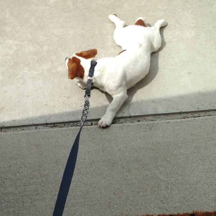 910b5c06 6f5a 47ea a9a4 72f24a63a984