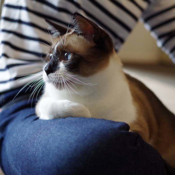 910b836c 3243 4ff6 81da f6ea2229843a