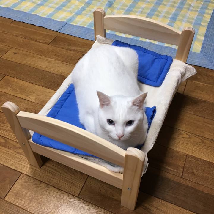 910ca4d9 cad2 4f15 93dc 63b3fd3b6643