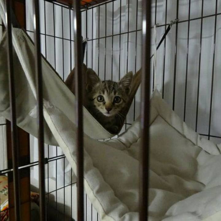 910dc8f3 dfc3 4359 bfe6 bcbf1ef0e7c6