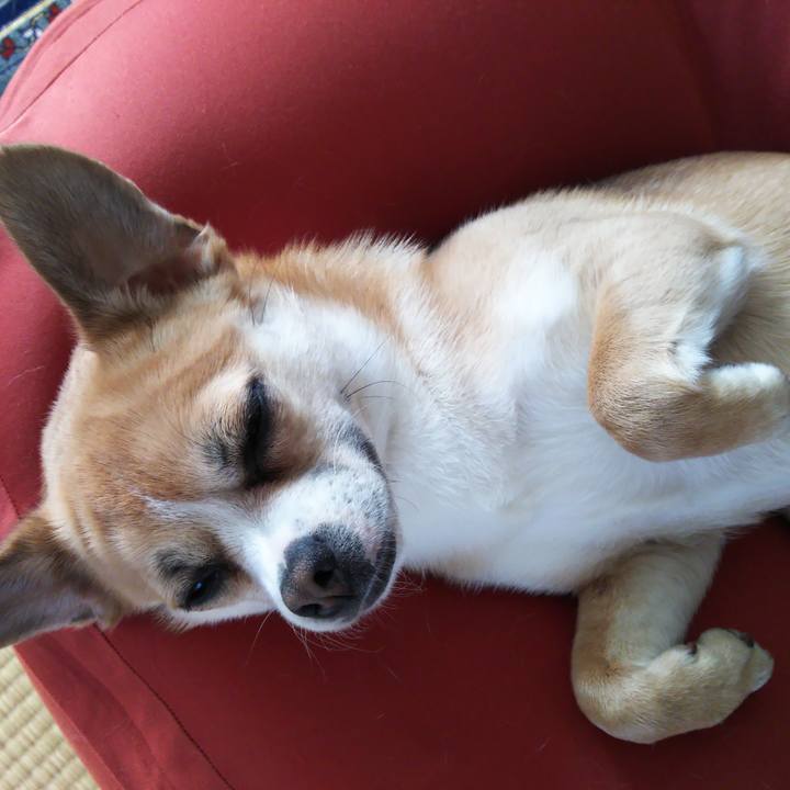 910df9ab 6cef 4548 bee0 29b791307f26