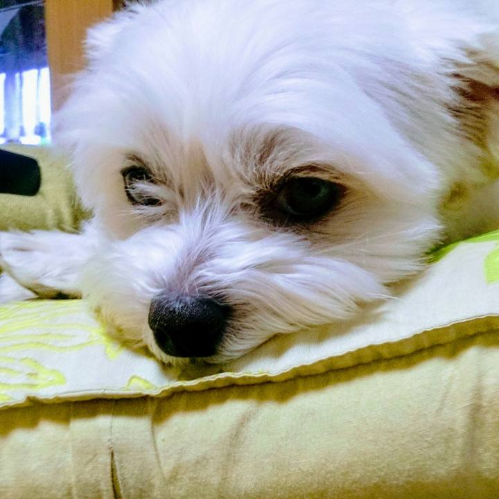 910e32f9 6478 472a 8a97 ebc13dd784f5