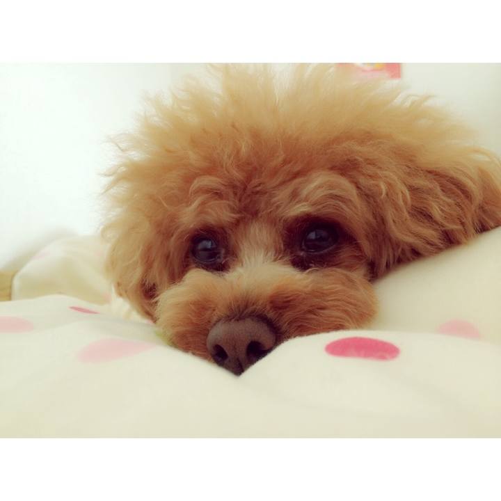 910e8126 e372 4193 bf28 5e1e9845d673