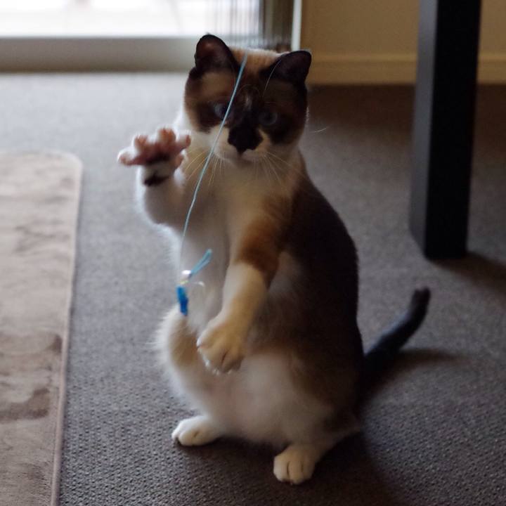 910f0196 ec9e 49bf a3ef 76e74843ca50