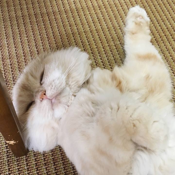 910f1343 6c8b 400a 96bf 4ce15c744810