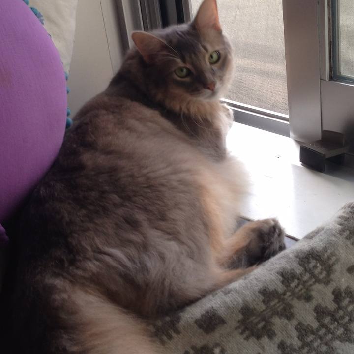 910f2691 76e7 482b 9316 ebe11aff0cc9