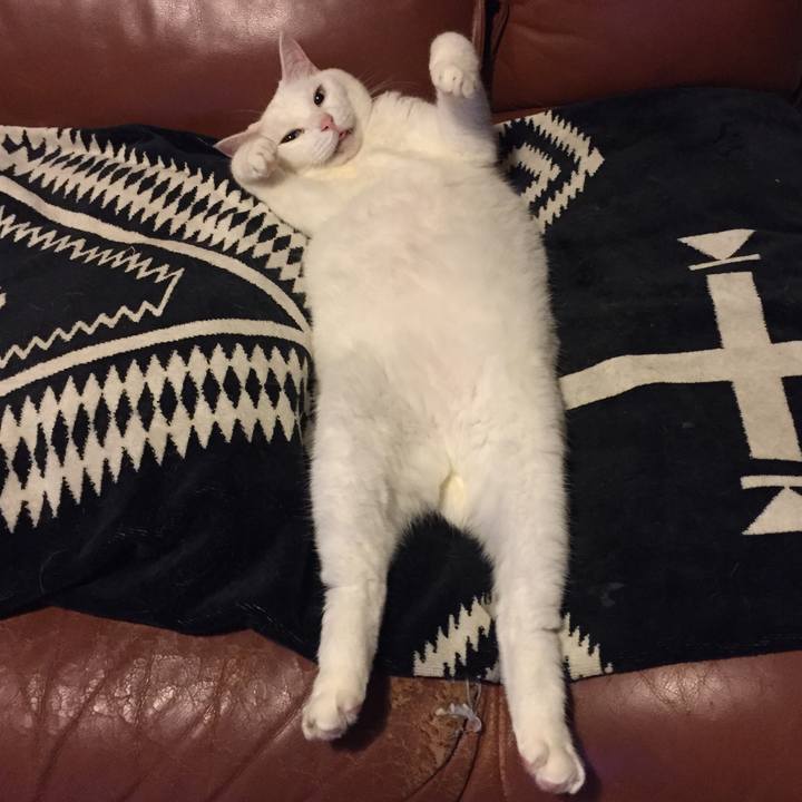 910f400b 9900 4980 aece 5429ff65334c