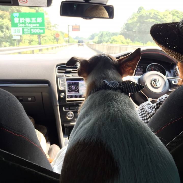 910f97bf a5d1 4bdf a36c 0088a0eb6abd