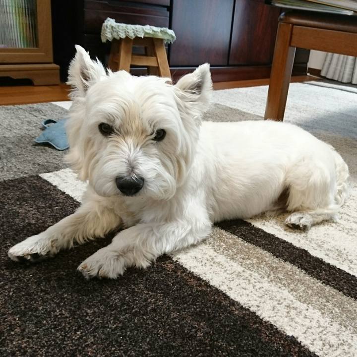 910fdb53 8cb8 42c1 b485 921d4e7762d6