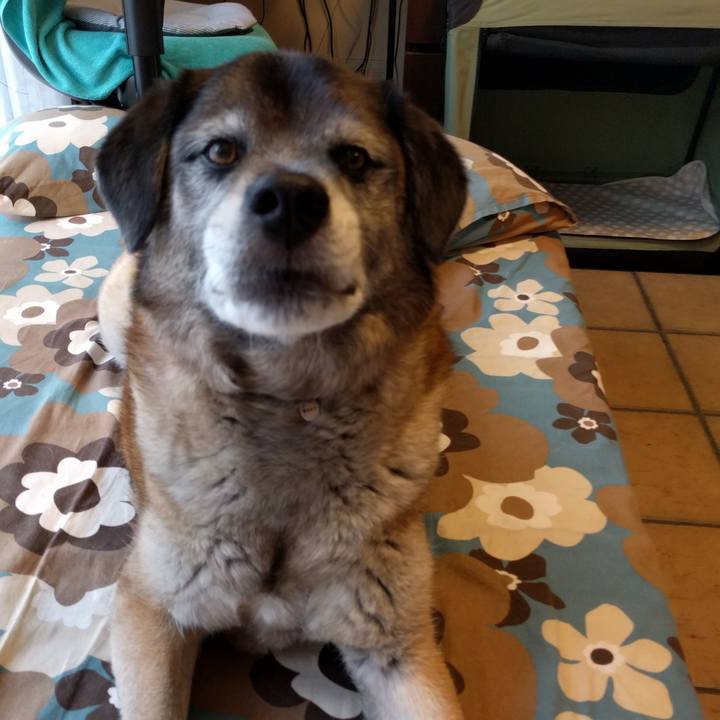 910ffa6b ee55 4891 b8d8 9addfef27258