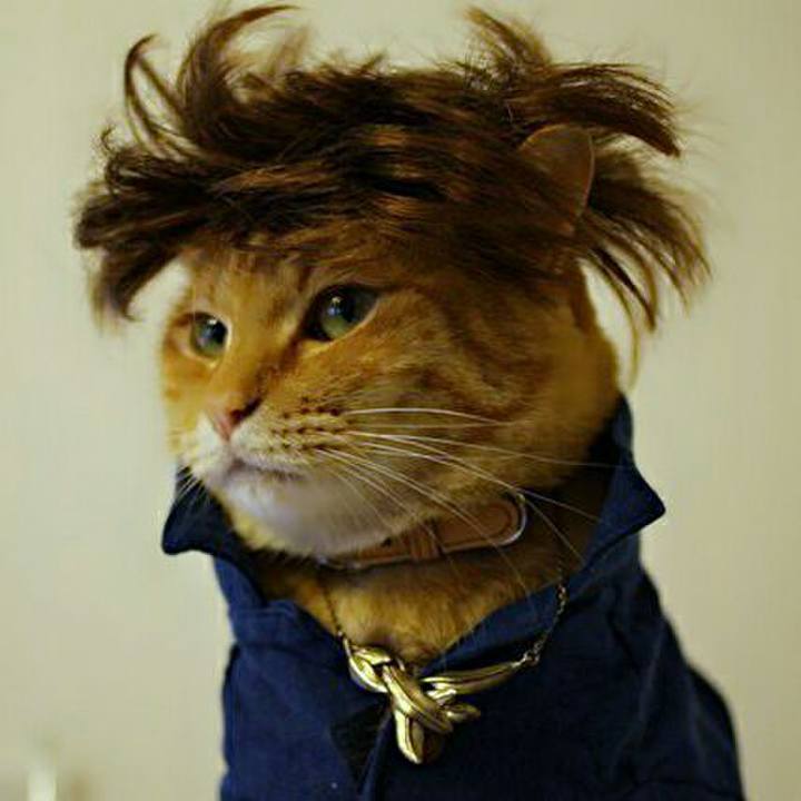 911046e7 178e 4dde bb33 cba9bdbe1fe6