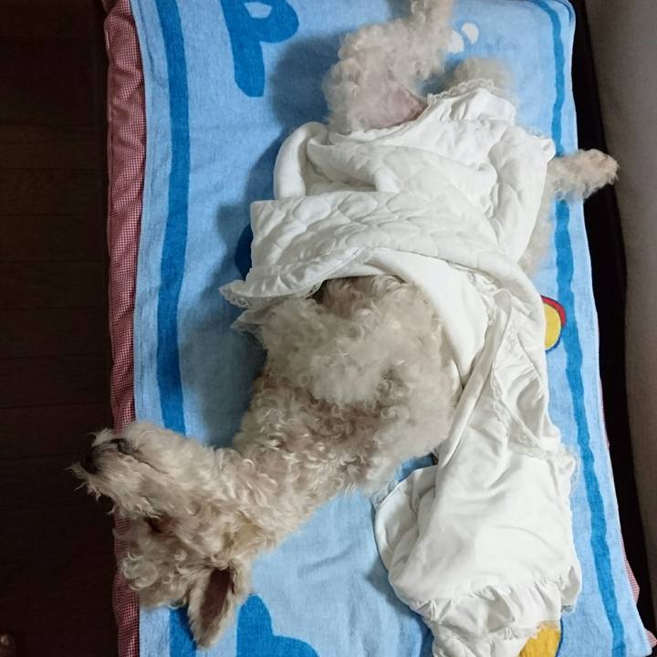 91107a4b 4e13 4bfa 91bf 3914c10f62da