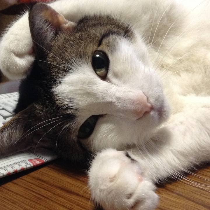 9110af68 6852 43ca b434 41970b2f5c7b