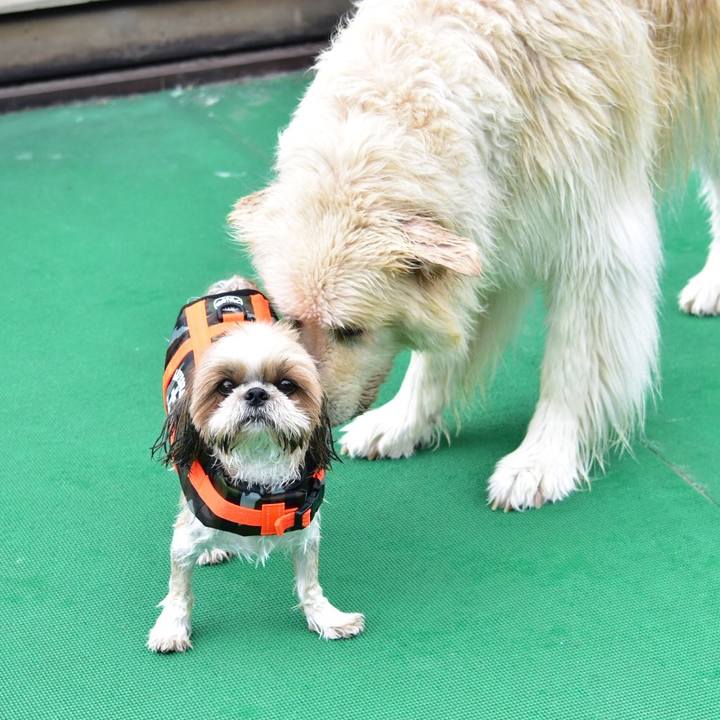 9110d5f0 f06a 4cbb a299 14c57994364d