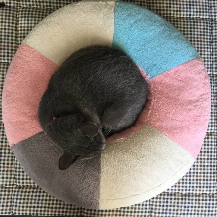 9110f9f2 e684 461b bb99 0dea1f390e35