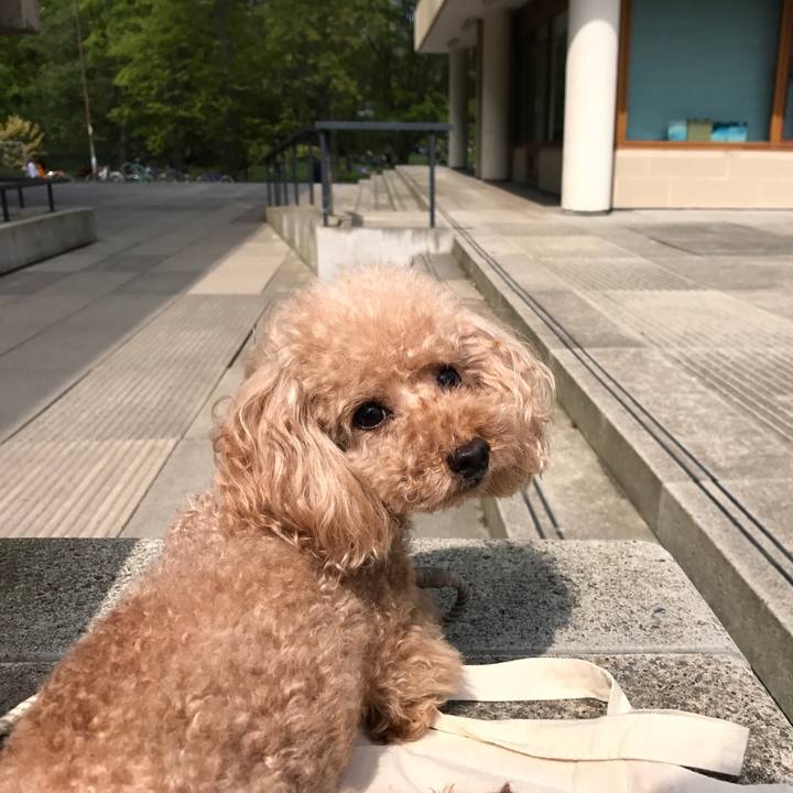 911255a9 3861 4aa0 a249 b59ca3237095