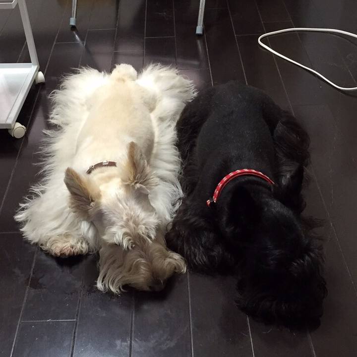 91127348 be37 4ee4 af01 228baadeccc8