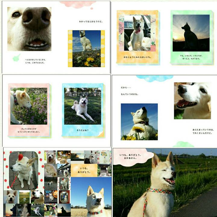 9112e6c7 5daf 4d5b 8436 bc12158eab4b