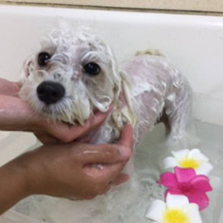 9112f6f4 5ecf 4c27 8088 1fe03a1b4a0c