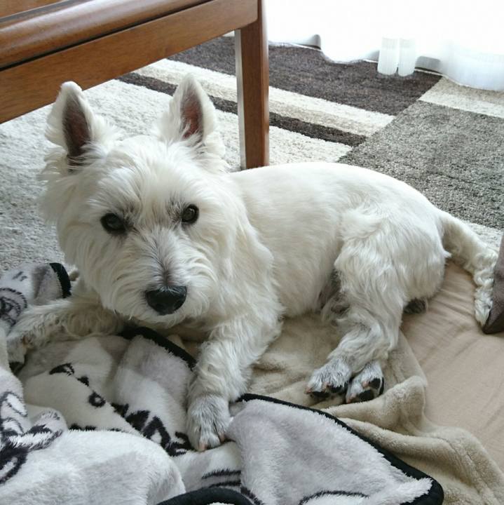 9113831b 6b90 4c76 8da2 c491c85ab19c