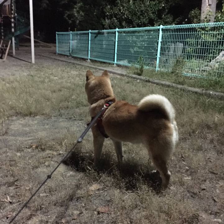 9113c604 c592 4199 8677 335f1fa23aab