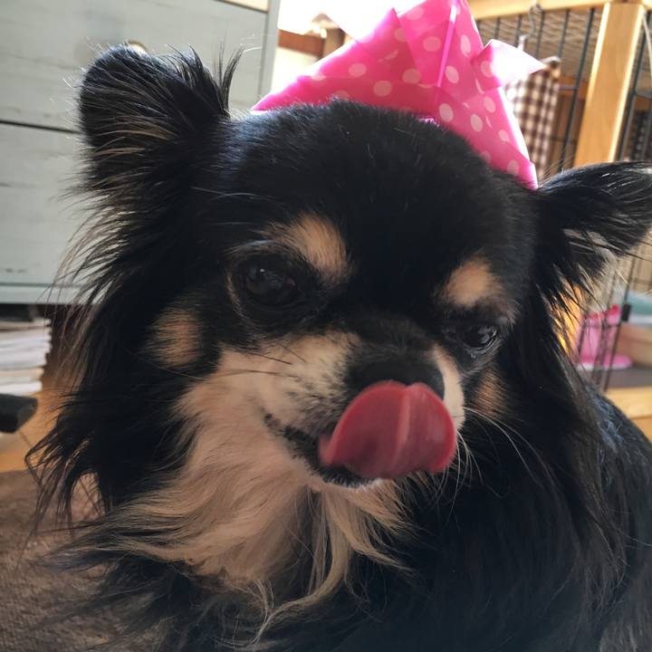 9113e329 40d0 4d96 a53d 534edcecf46b