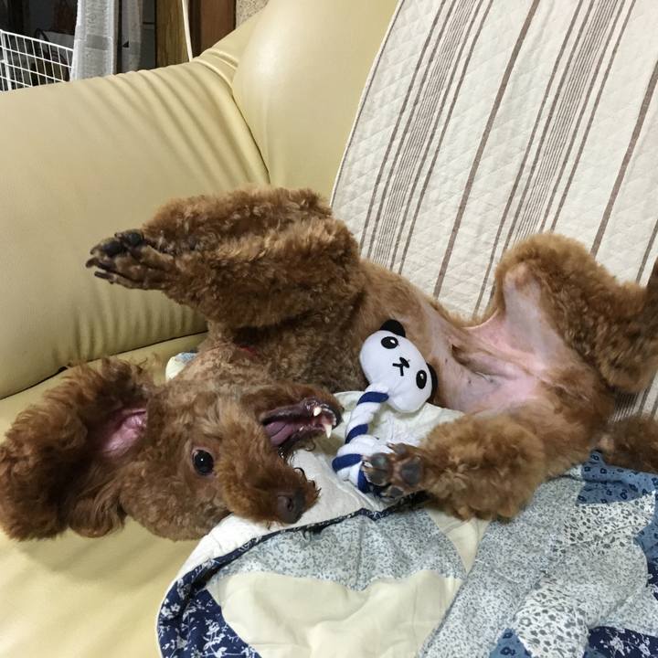 91140b19 ab02 44f8 9c50 6f97106e0f94