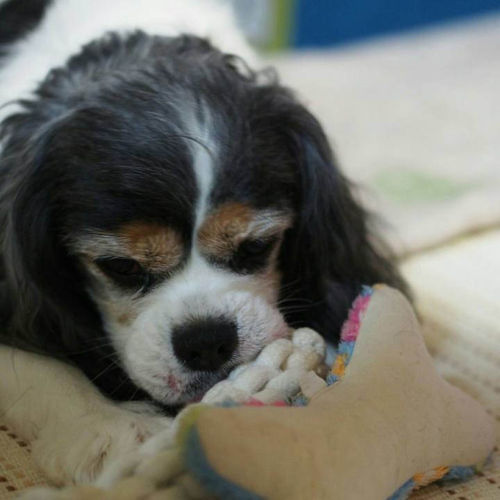 911477f9 1391 4622 b34e 2a86f6475094