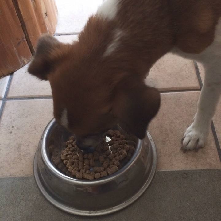 9114f1c5 6d35 48b9 8d9b 4baaad30df40