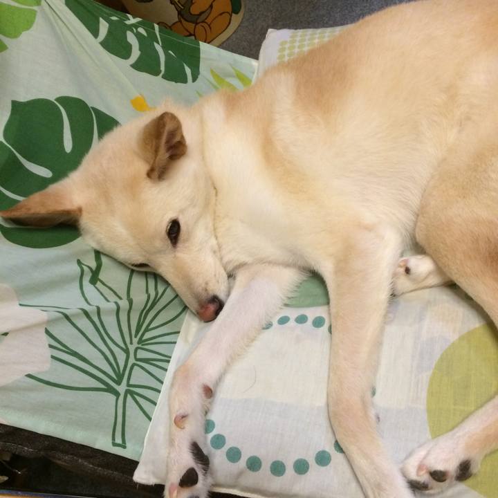 91168427 0cdc 4ae6 8468 5bf625e5a031