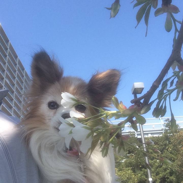 91177541 6432 4a18 93ce 8a0cf7daaa5a