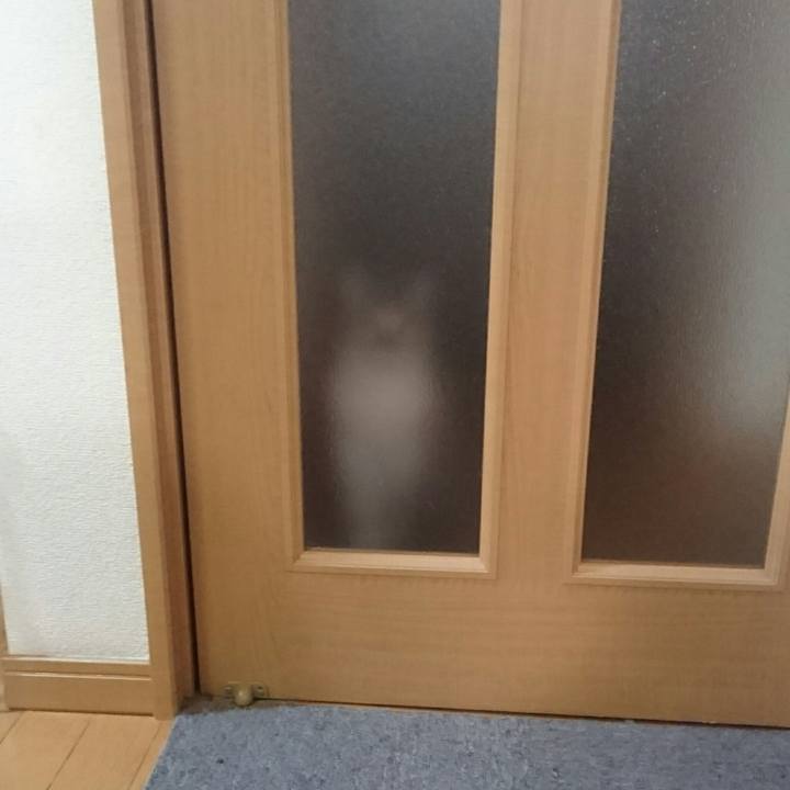 91177cc9 6433 406c b5f9 6720f2e0cded