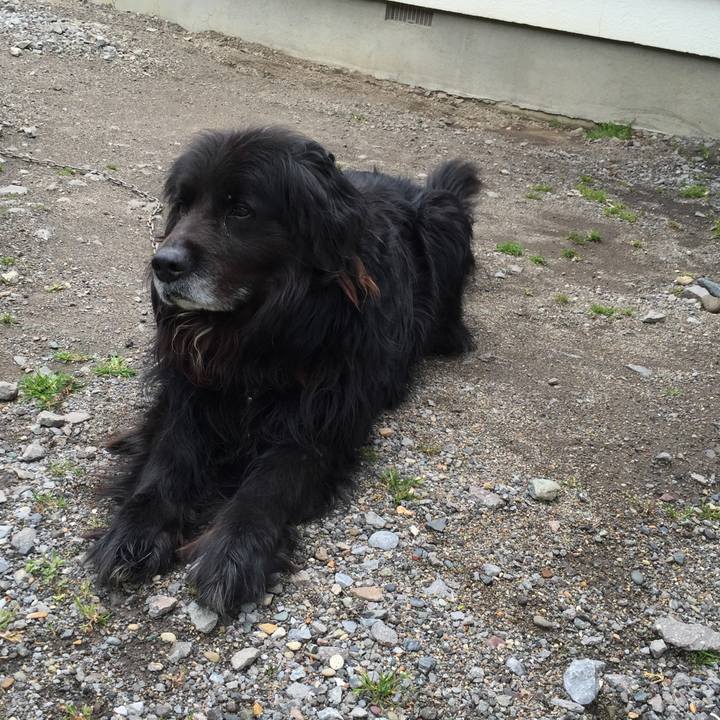 9117b1ca 3e2b 40e1 ae64 71f8ccbfb265