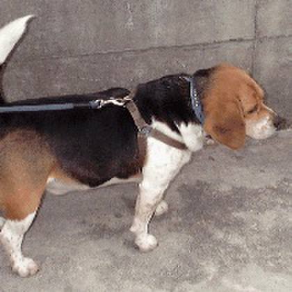 91193d64 cbb0 4472 a9a8 272b82b212ee