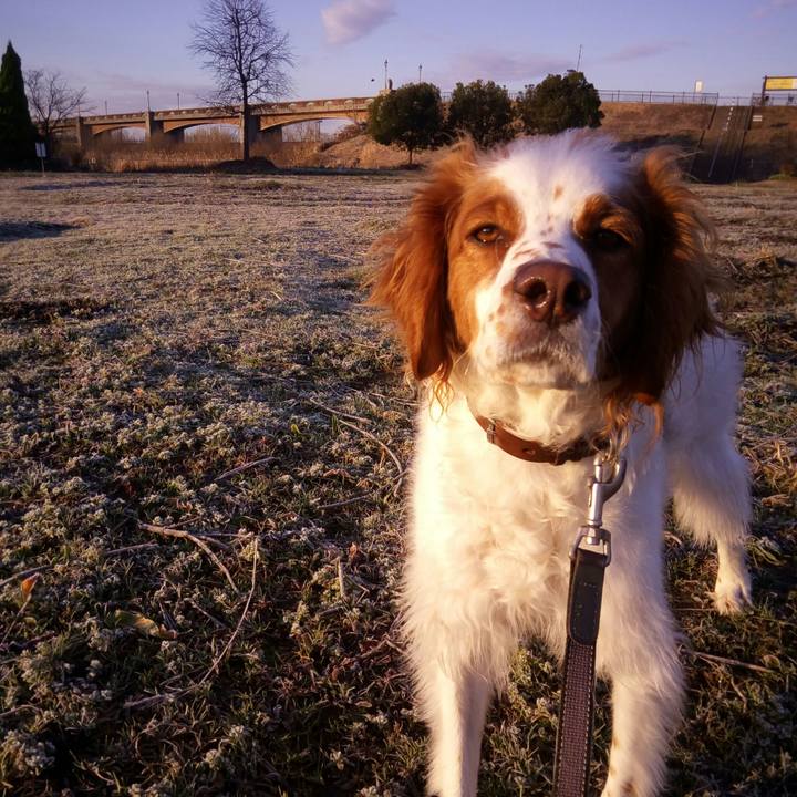 911ad008 f643 4298 922e 3dea3246e2eb