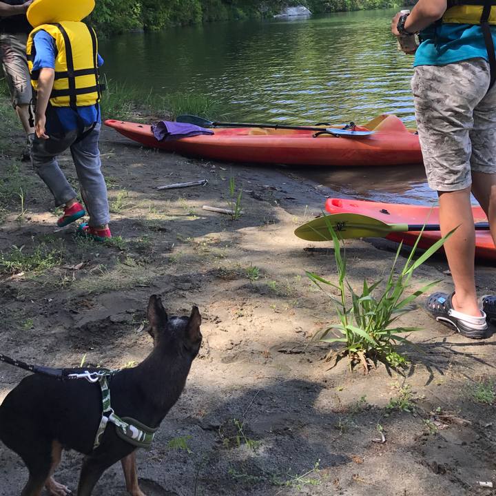 911b5391 33e3 4f22 8935 8097dc39ce3c