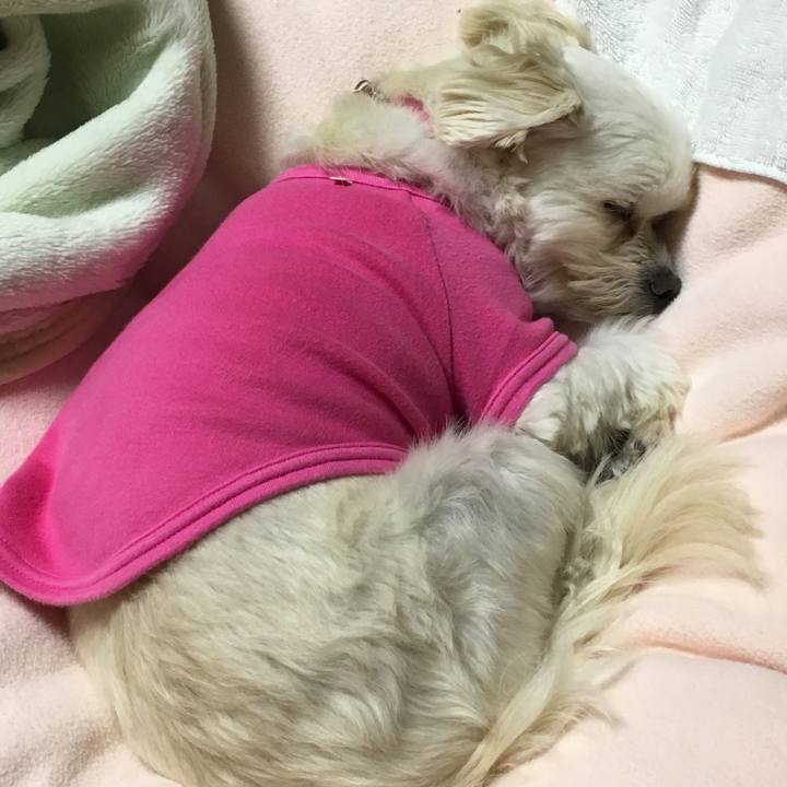 911be3e7 d8b3 455d ad13 c08caf1f657e