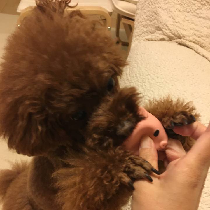 911c32ca 595c 4faa 9503 2f3ae86e409e