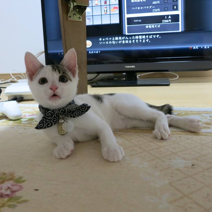 911c53d9 7fb5 4b3e 8eae c300d8aa58df