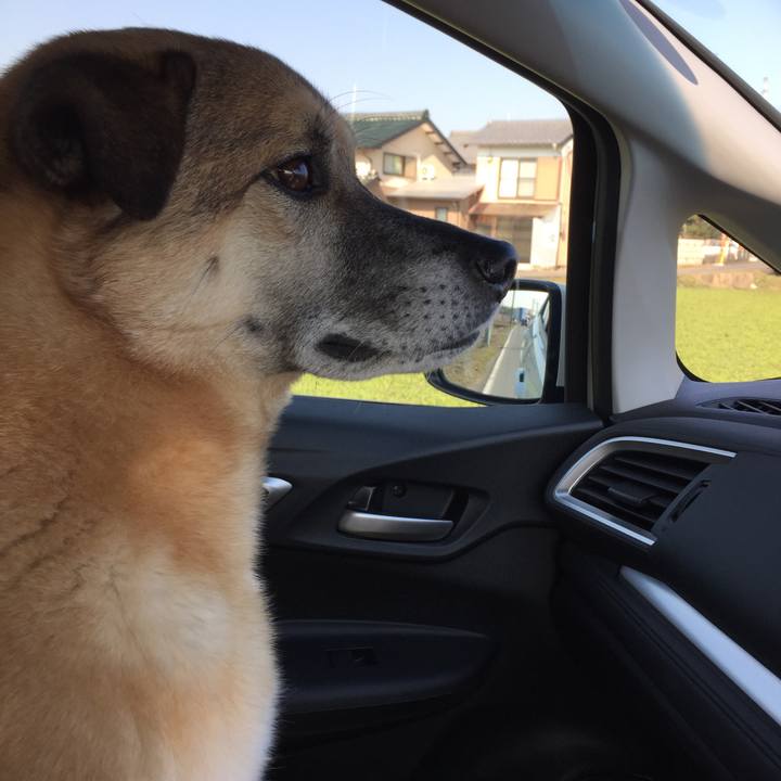 911cf5ab 1d0b 4322 b954 aa506b6e7caa